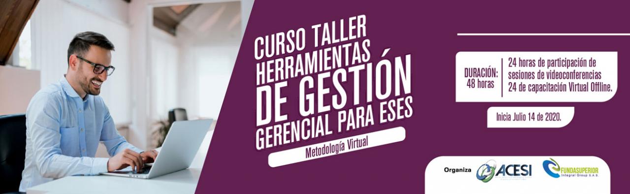 Curso Taller Virtual HERRAMIENTAS DE GESTIÓN GERENCIAL PARA ESEs